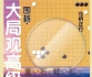 《大局观高级讲义