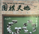 《围棋天地（2016年第