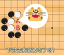 《聂卫平动画教学（第二季10讲）》（围棋视频）