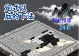 《定式以后的下法（丁