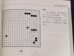 《定石革命（芝野虎丸）》（超清版PDF）