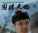 《围棋天地（2015第23