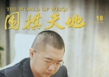 《围棋天地（2016年第18期）》（超清版PDF）