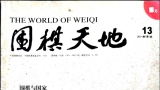 《围棋天地（2011年第13期）》（超清版PDF）