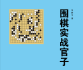 《围棋实战官子（吴新宇）》（详解完整版SGF）