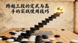《跨越三段的定式与高手的实战使用技巧（陈磊三段讲解）》（围棋视频12集）