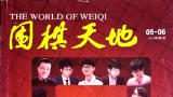 《围棋天地（2015第5-6期）》