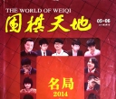《围棋天地（2015第5-