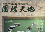 《围棋天地（2016年第