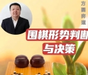 《形势判断与决策（彭荃七段讲解）》（围棋视频18集）