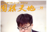《围棋天地 （2018年第20期）》（超清版PDF