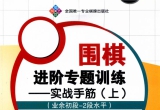 《围棋进阶专题训练 实战手筋 上 （业余1到