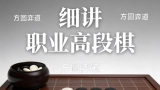 《细讲职业高段棋（柯洁、申真谞、丁浩、朴