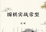 《围棋实战常型（段嵘