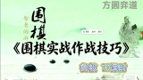 《围棋实战作战技巧（鲁毅初段讲解）》（10集视频）
