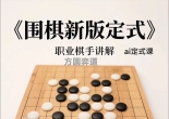《围棋新版定式》（12