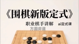 《围棋新版定式》（127讲视频）