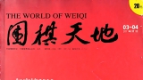 《围棋天地（2011年第0304期上）》（超清版