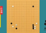 《康锐围棋 - AI时代必须会的变化》（17讲视频）