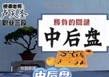 《围棋中后盘胜负的关键（卢天圣三段讲解）》（围棋视频10集）