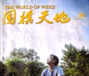 《围棋天地（2015第20