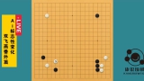《康锐围棋 - AI时代必须会的变化》（17讲视频）