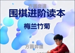 《围棋进阶读本（2）- 兰之篇   》（192集视频）