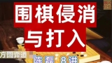 《侵消与打入（陈磊三段讲解）》（围棋视频8集）