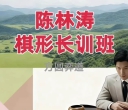 《棋形长训班专题（陈林涛7段讲解）》（围棋视频13集）