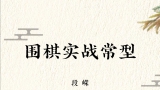 《围棋实战常型（段嵘）》（重排版超清PDF