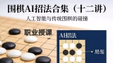 《围棋AI招法合集（刘华丰初段讲解）》（视频12集）