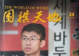 《围棋天地（2016年第