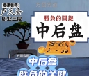 《围棋中后盘胜负的关键（卢天圣三段讲解）》（围棋视频10集）