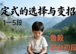 《定式选择与变招（鲁