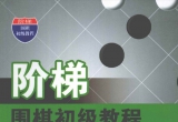 《阶梯围棋初级教程－抢占先机的布局》(超