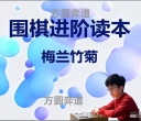 《围棋进阶读本（4）- 菊之篇》  （180集视频）