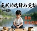 《定式选择与变招（鲁毅初段讲解）》（围棋视频10集）