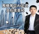 《常见AI定式及后续变