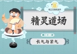 《聂卫平动画教学（第三季10讲）》（围棋视频）