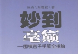 《妙到毫巅－围棋官子手筋全接触》(超清PDF