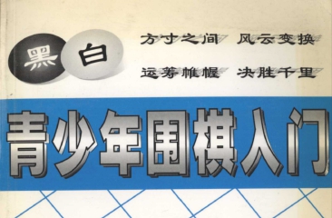 《青少年围棋入门 》（超清版PDF）
