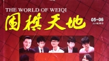 《围棋天地（2015第5-6期）》（超清版PDF）