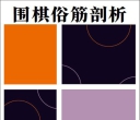 《围棋俗筋剖析（藤泽