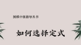 《围棋中级指导丛书 - 如何选择定式（大竹