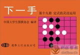 《下一手17，18，19，20册》（聚合详解版SGF）