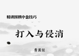 《精讲围棋中盘技巧 -