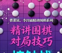 《精讲围棋对局技巧 -