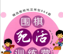 《围棋死活训练营 中级篇（胡丹蔚 张军）》（答案版SGF）
