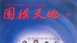 《围棋天地（2024第14期）》（超清版PDF）