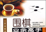《围棋业余高手实战技法》(重排版超清PDF)
